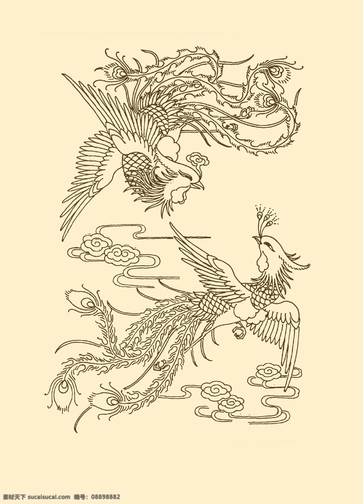 凤凰 凤凰纹样 凤 凤鸟 传统 纹样 图案 古典 春节 中国风 分层 源文件