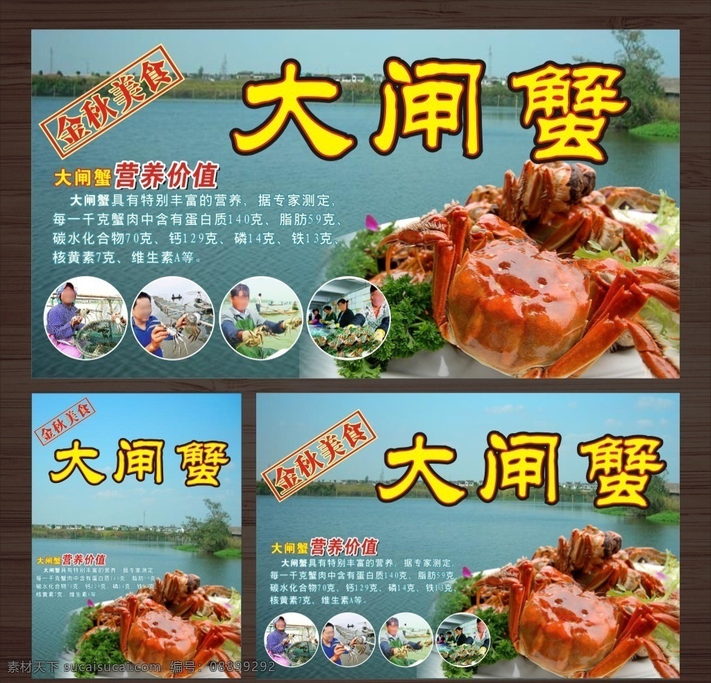 金秋 大闸蟹 海报 模板 螃蟹 大闸蟹海报 大闸蟹吊牌 大闸蟹宣传 大闸蟹促销 秋季螃蟹 大闸蟹营养 湖水 大闸蟹产地 阳澄湖大闸蟹 阳澄湖蟹