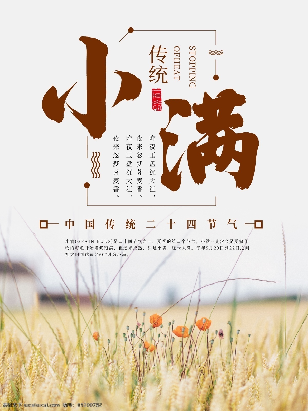 二十四节气 小满 节气 海报 24节气 初夏 小清新 草木绿 中国风 水墨 创意 简洁 大方 广告 宣传 夏至 大暑 小暑 夏天到了 夏季海报 夏天 树叶 叶子 天气 清新 日历风格 中国 简约风格 小麦 节气展板 展板 海报下载 下载海报