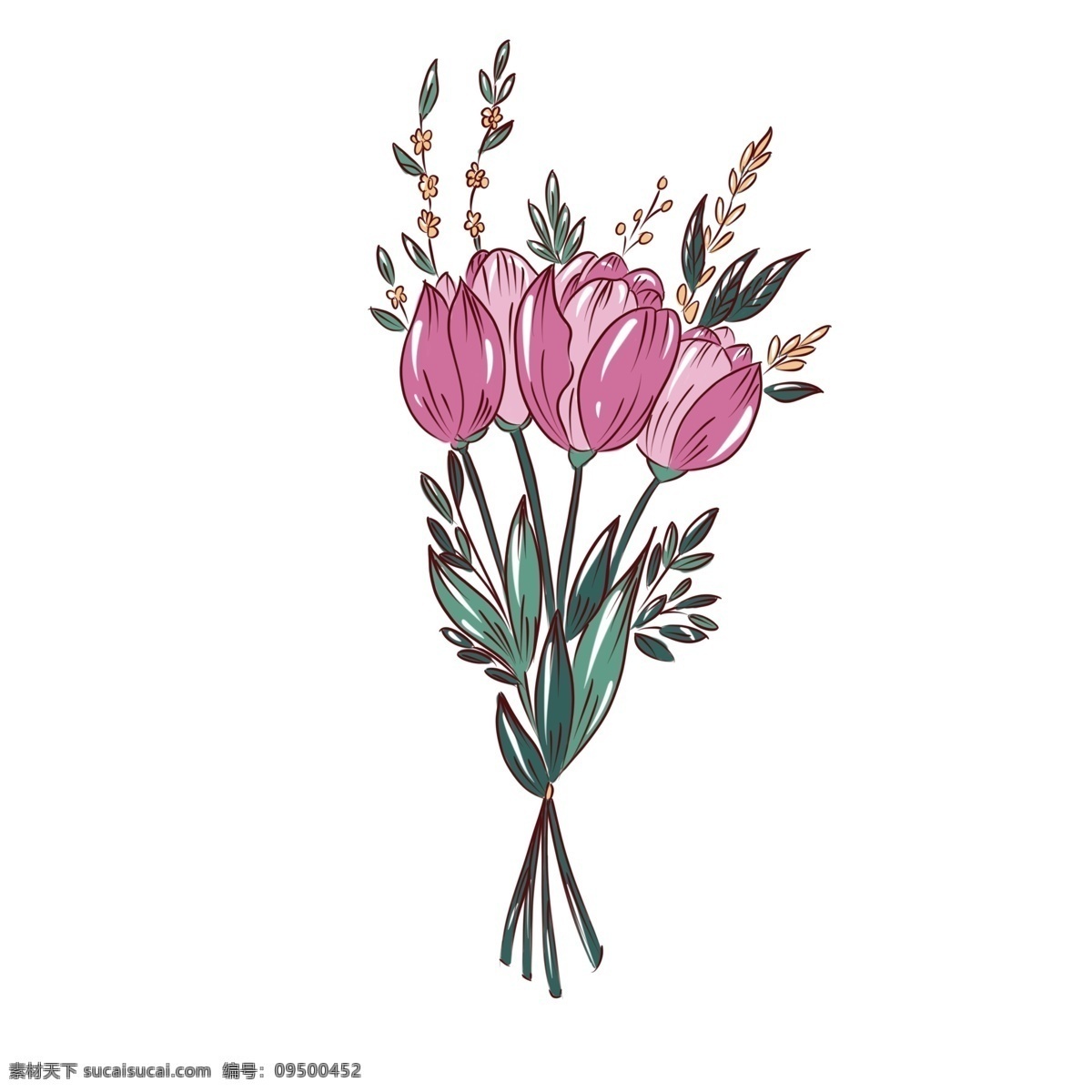 手绘 植物 花 传统 花卉 商用 手绘花 手绘植物 花束 传统花卉