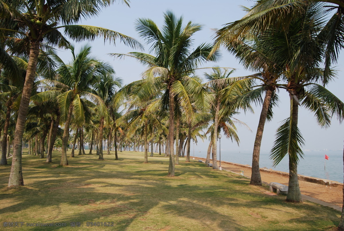 椰林树影 海 大海 海滩 椰树 椰林 三亚 风景图 旅游摄影 国内旅游