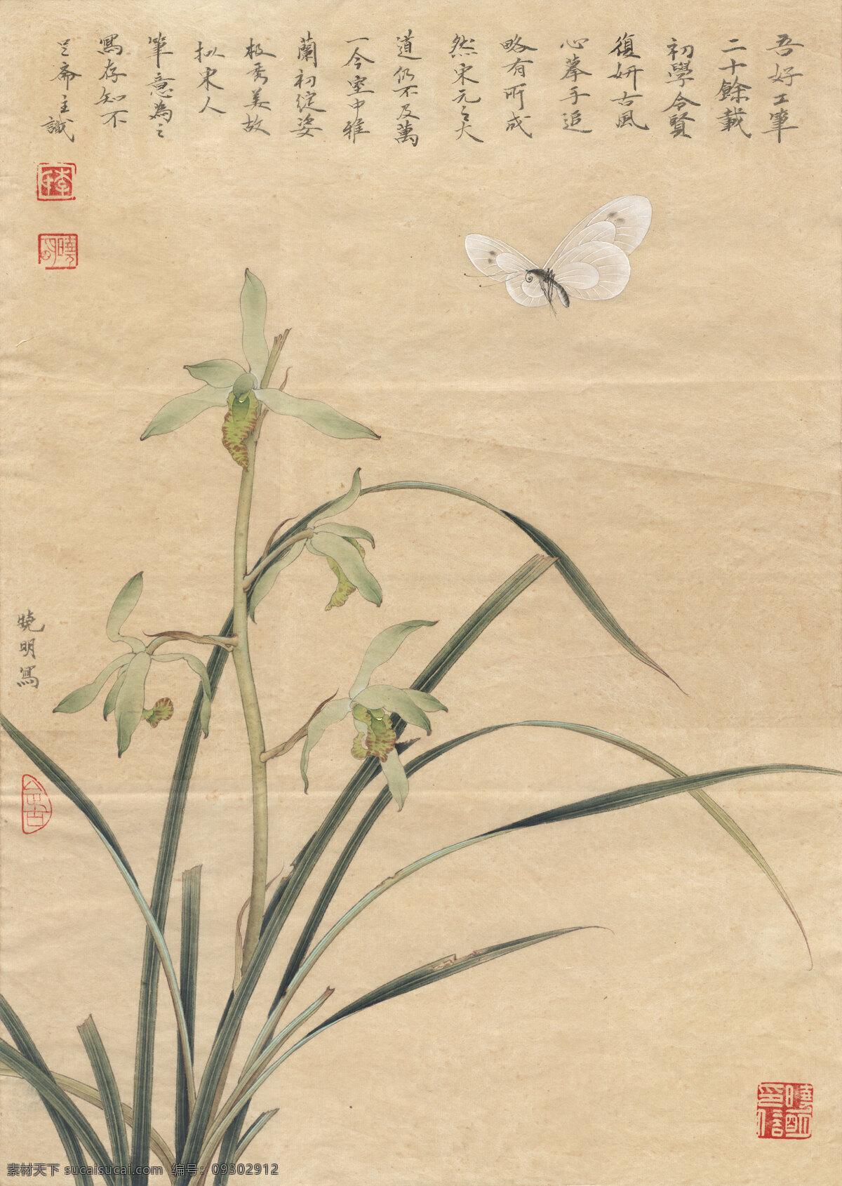 李晓明 工笔 花鸟 高清 图 工笔画 字画 国画 走廊挂画 客厅挂画 教室挂画 花鸟画 工笔花鸟 工笔国画 工笔荷花 工笔画欣赏 工笔画素材 文化艺术 绘画书法 高清工笔画 风景