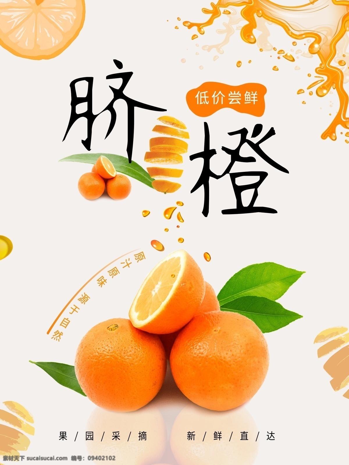 脐橙海报图片 脐橙 橘子 水果 海报 脐橙素材