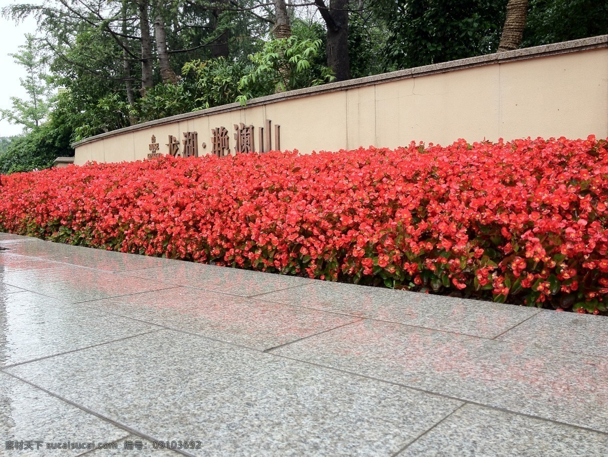 草 草皮 海棠花 花 建筑 建筑园林 景观 楼盘 售楼处花艺 小区 园林 园艺 树 木伐 木地板 竹林 住宅 石板路 石材 园林建筑 矢量图 建筑家居