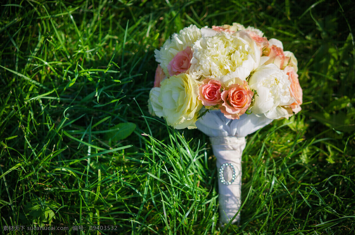 草地 上 粉红色 玫瑰 粉红色玫瑰 玫瑰花 美丽鲜花 花卉 美丽花朵 婚礼花朵 婚礼鲜花 其他类别 生活百科 黑色