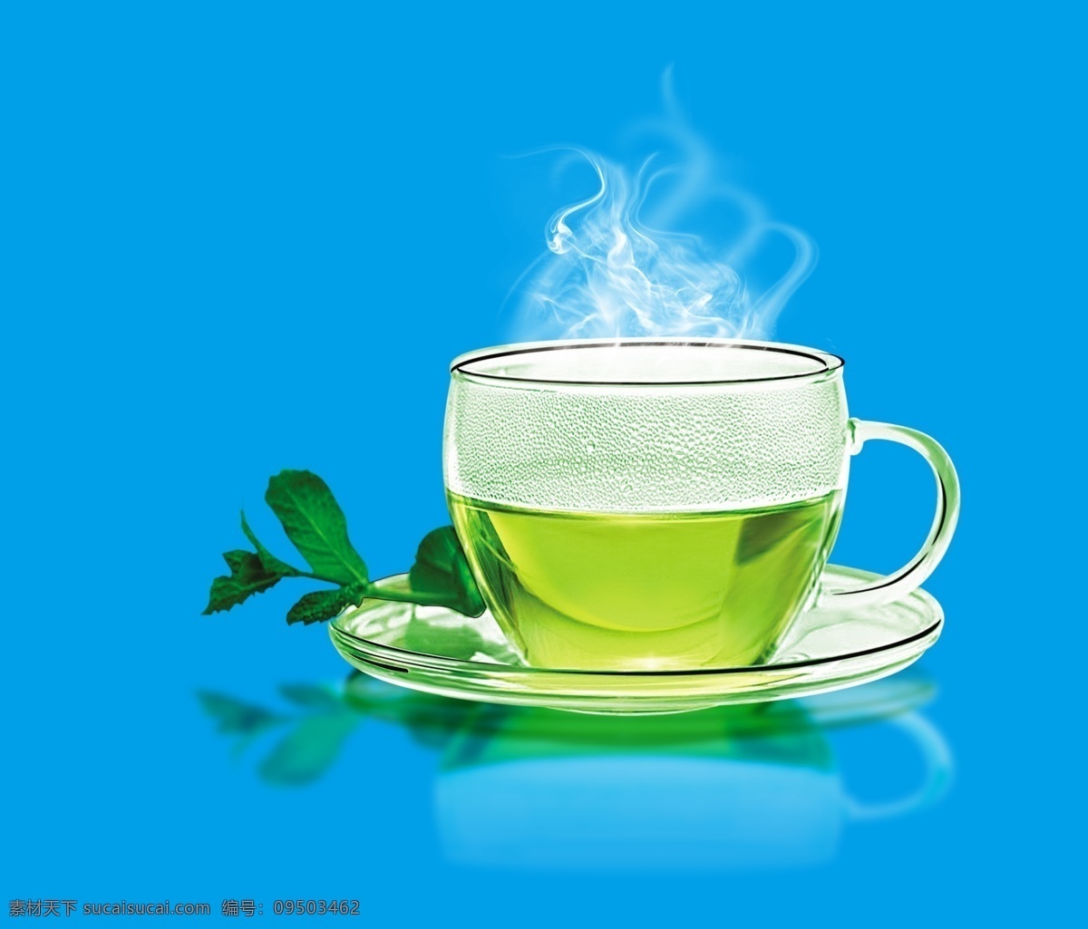 茶叶 茶 玻璃茶杯 透明茶杯 玻璃 茶杯 绿茶