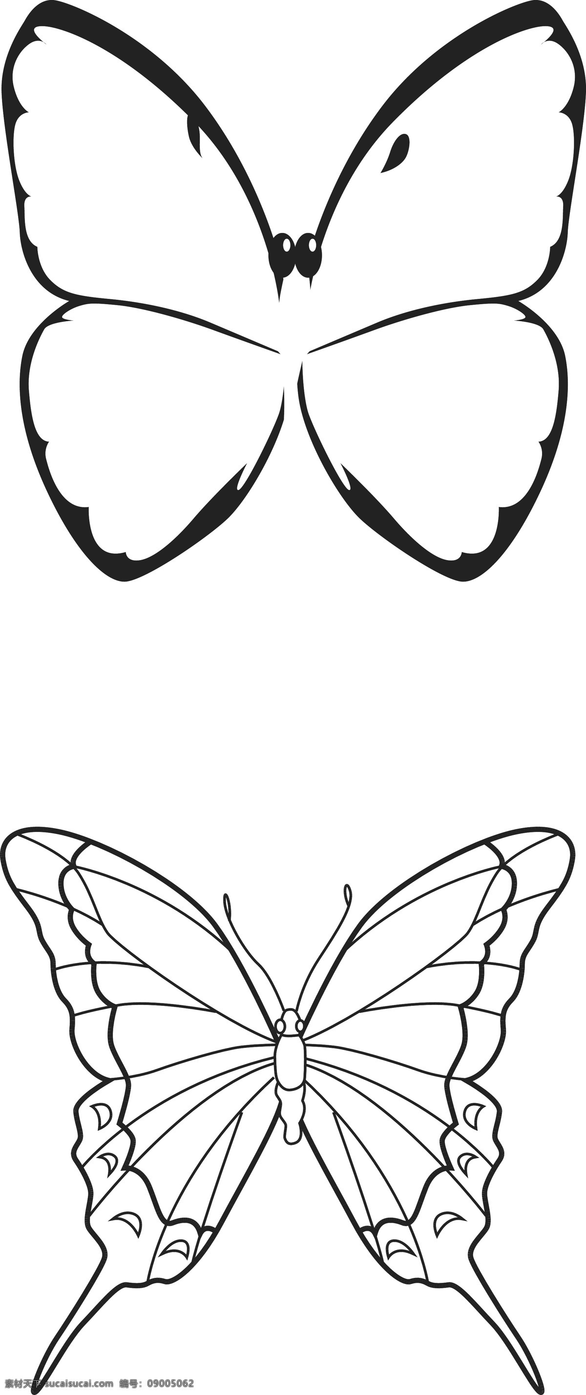 蝴蝶 线描 平面图 平面设计 黑白