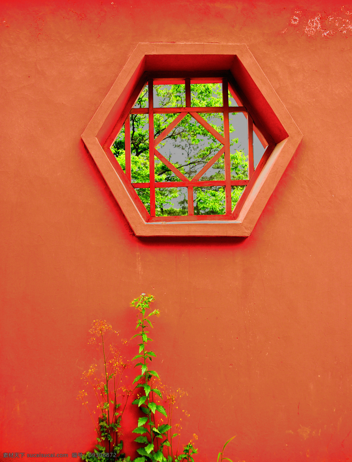 红墙古窗绿草 红墙 古窗 六边形窗 木格窗 绿树 绿草 传统建筑 民居建筑 建筑摄影 建筑园林