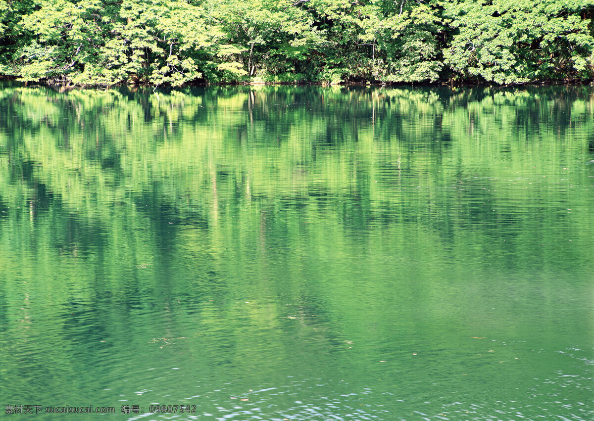 绿色山水 晨雾 村庄 风景 风景背景 风景画 河流 湖泊 湖景 湖面 湖畔 山水风景 山峰 山水背景 山水风光 山坡 绿色背景 绿叶 绿草地 绿树 树木 树木大树 山林 森林 森林风景 森林公园 森林背景 景色 山景 秋天风景 自然风景 自然风光 自然景色 雾气 雾中的山 梯田 湖水风景 蓝天白云 花纹背景 花瓣 花草 花卉 花藤 蓝天草地 蓝天大海 野外 野外风景 夕阳风景 溪水 家居装饰素材 山水风景画