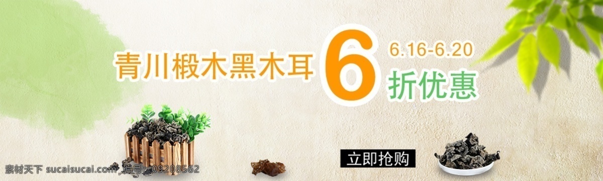 木耳 促销 首页 首焦 淘宝促销海报 青川木耳 淘宝素材