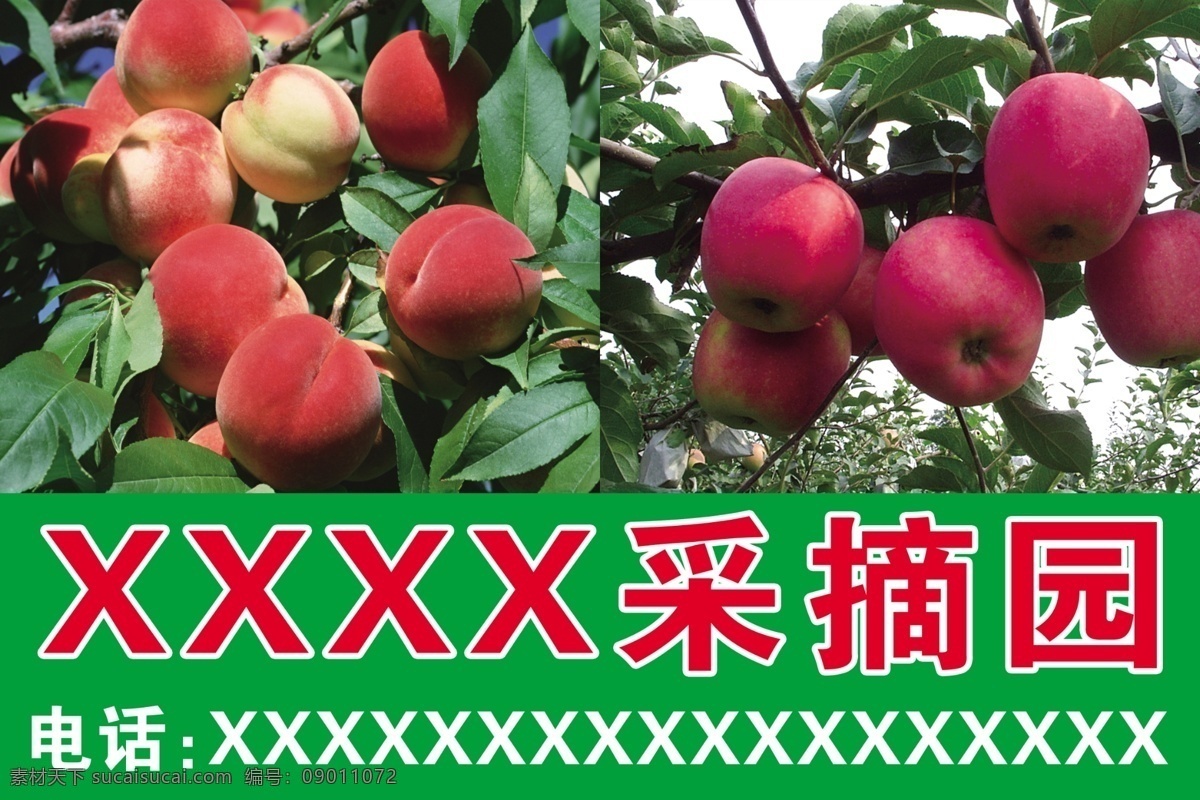 采摘 园 果树 果园 苹果 苹果树 水果 桃 桃树 采摘园 psd源文件