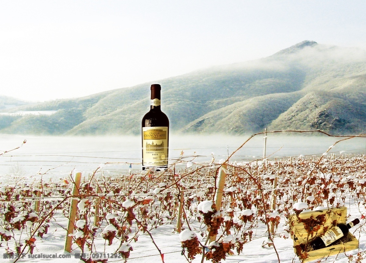 葡萄酒 宣传单 背景 雪 元素