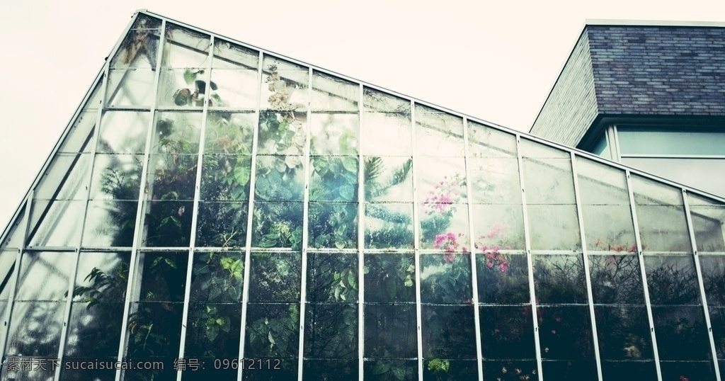 玻璃房 玻璃 花房 玻璃花房 摄影图 生活百科 生活素材