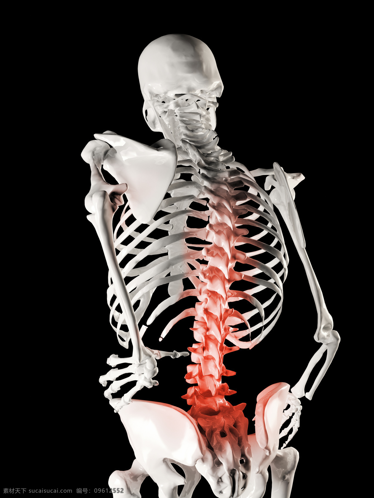 人体 脊椎 x 光 图像 医疗主题 透视图 x光 医疗护理 现代科技