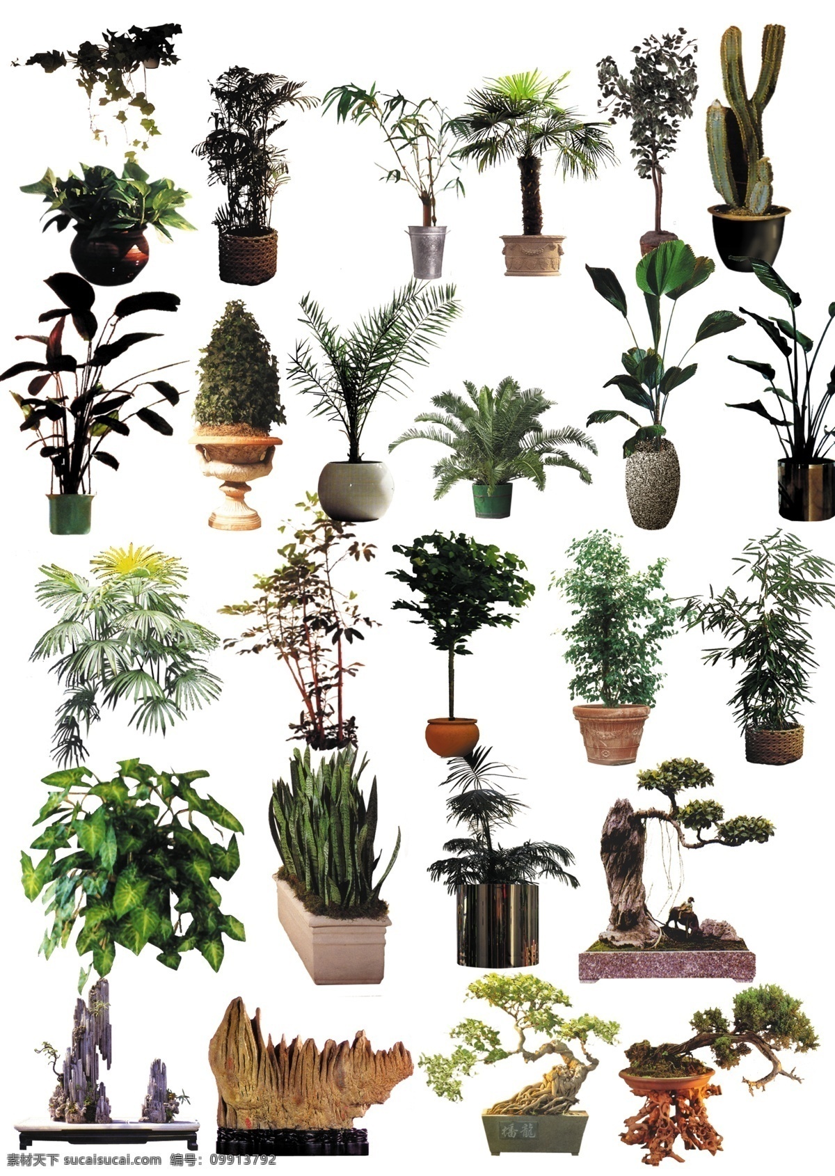 室内外 盆栽 集合 盆栽分层素材 分层素材 分层 花草盆栽 设计素材 源文件 植物 花盆 花草 室内盆栽 室内盆栽素材
