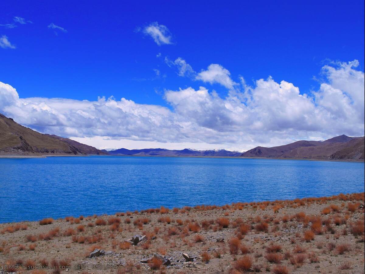 西藏 吉隆 沟 风景