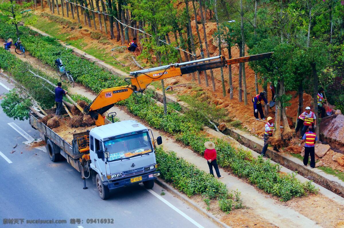 城市绿化 大卡车 工业生产 绿化带 树木 现代科技 植树 交通建设 干道绿化 大树移植 道路排水沟 吊装机 绿化工