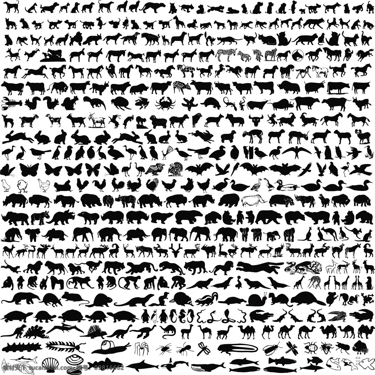动物剪影 海洋生物 野生动物 家禽 家畜 狗 猫 牛 羊 马 昆虫 飞鸟 鸟类 鸽子 鸡 贝壳 螃蟹 大象 猴子 熊 鸭 鹅 老虎 狮子 豹子 剪影 其他生物 生物世界 矢量