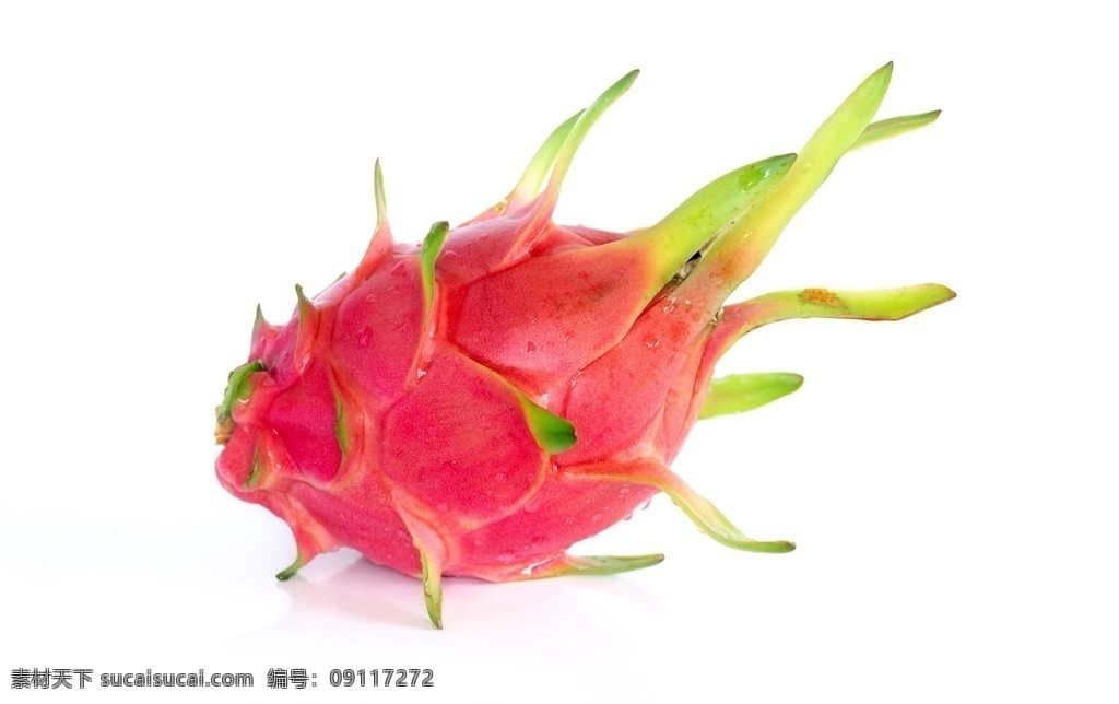 水果图片 水果白底图 草莓 苹果 橙子 车厘子 蓝莓 黄桃 牛油果 荔枝 加力果 菠萝 梨子 桑葚 桃子 紫葡萄 葡萄 石榴 李子 西柚 无花果 柿子 释迦 香蕉 杨桃 杏子 西瓜 猕猴桃 甜瓜 木瓜 灯笼果 山竹 百香果 榴莲 哈密瓜 芒果 椰子 火龙果 柠檬 莲雾 青桔 柚子 粉焦 提子 生物世界 水果