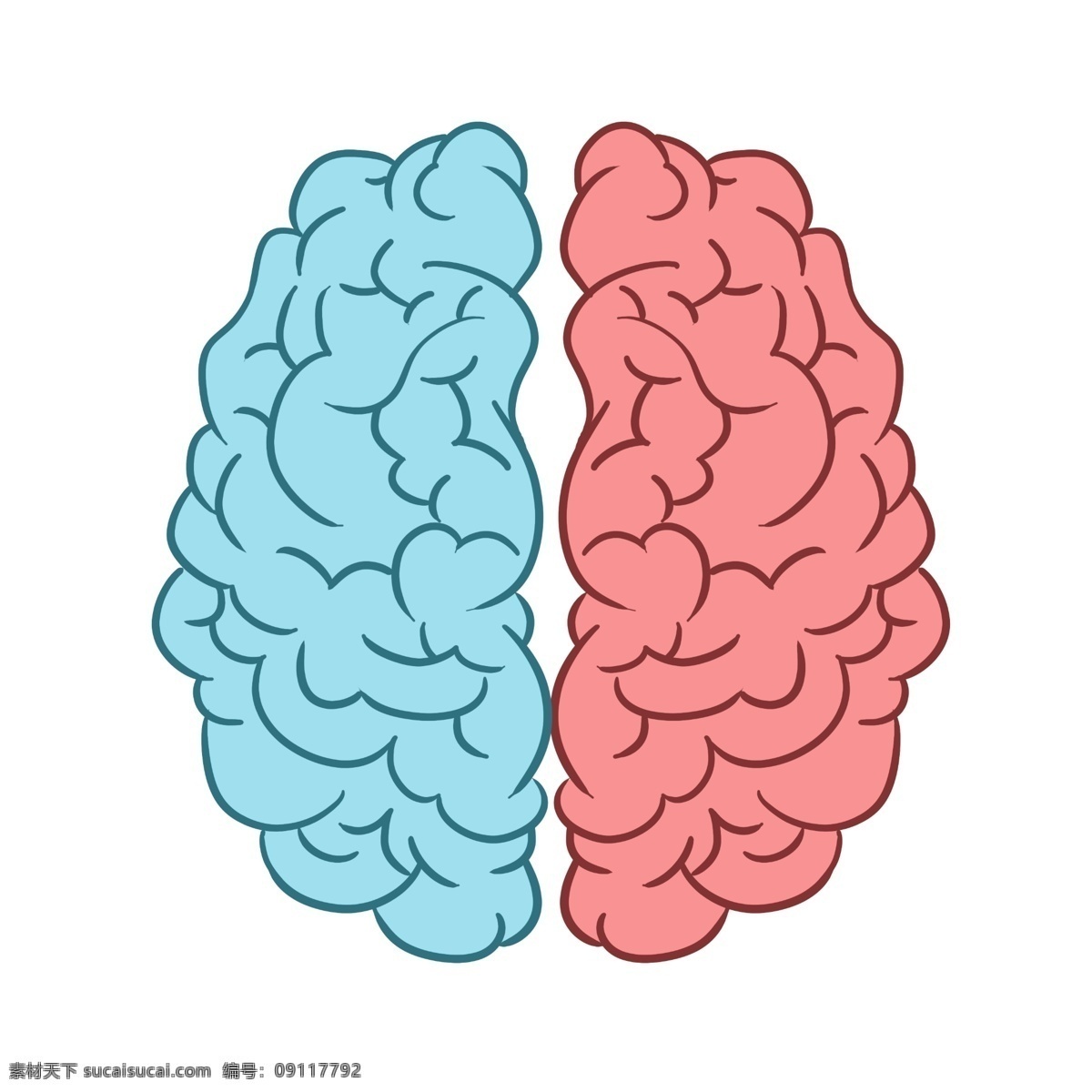 左右 大脑 思维 扁平 风 平面图 左边大脑 右边大脑 左右大脑 扁平风 图标 思考 插画 免抠 平面 不同 脑部 区域