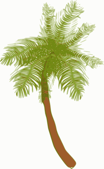 椰子 椰子树 剪辑 艺术 svg 红色