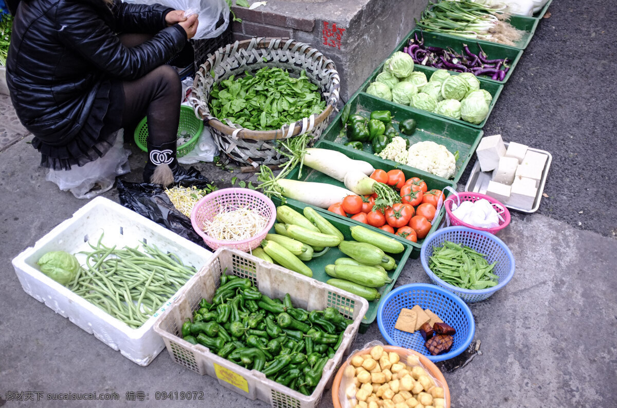 疏 菜地 滩 白菜 生物世界 蔬菜 疏菜地滩 疏菜 地滩 街市 蕃茄 萝白 风景 生活 旅游餐饮