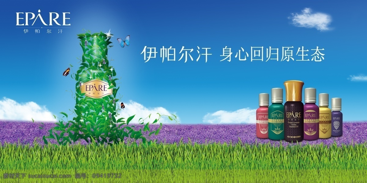 新疆 伊 帕 尔汗 薰衣草 psd源文件