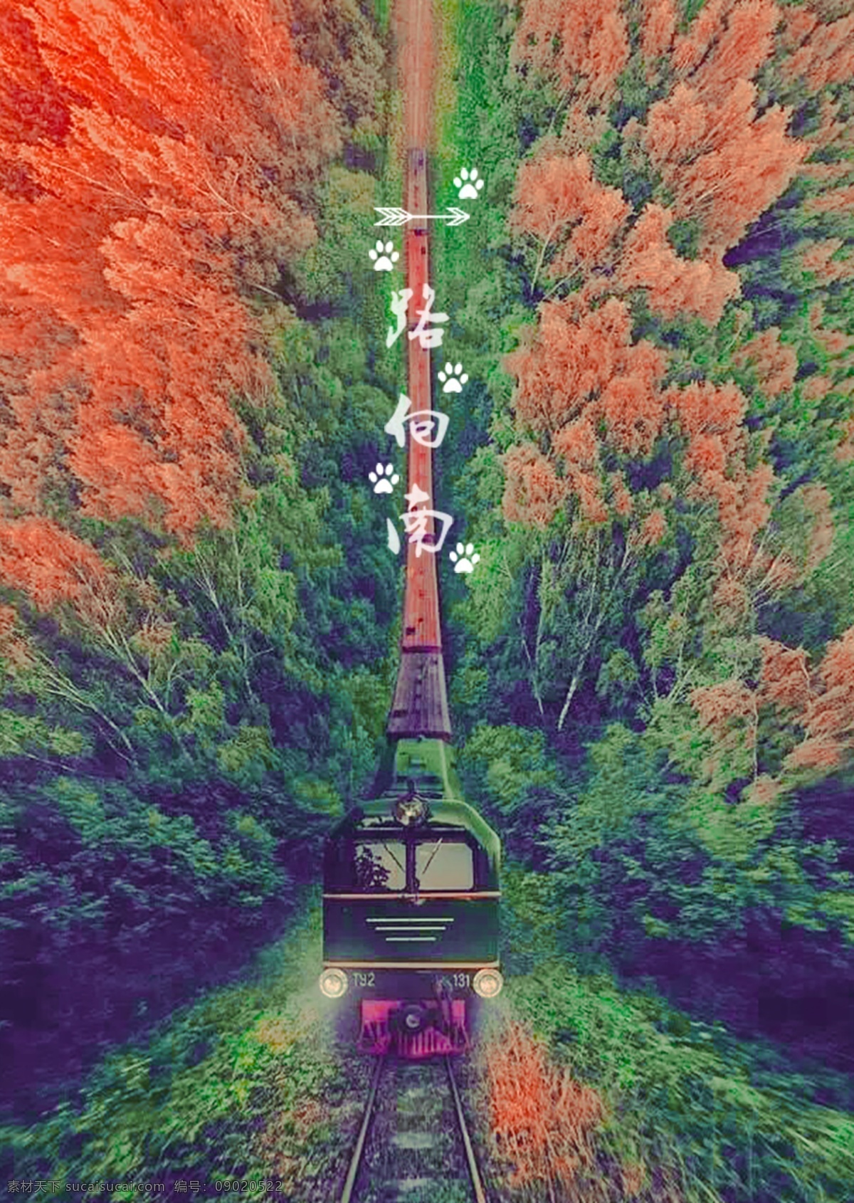 一路 向南 旅程 插画 风景 火车 红叶 树林 轨道 一路向南 清晰自然 向往的生活