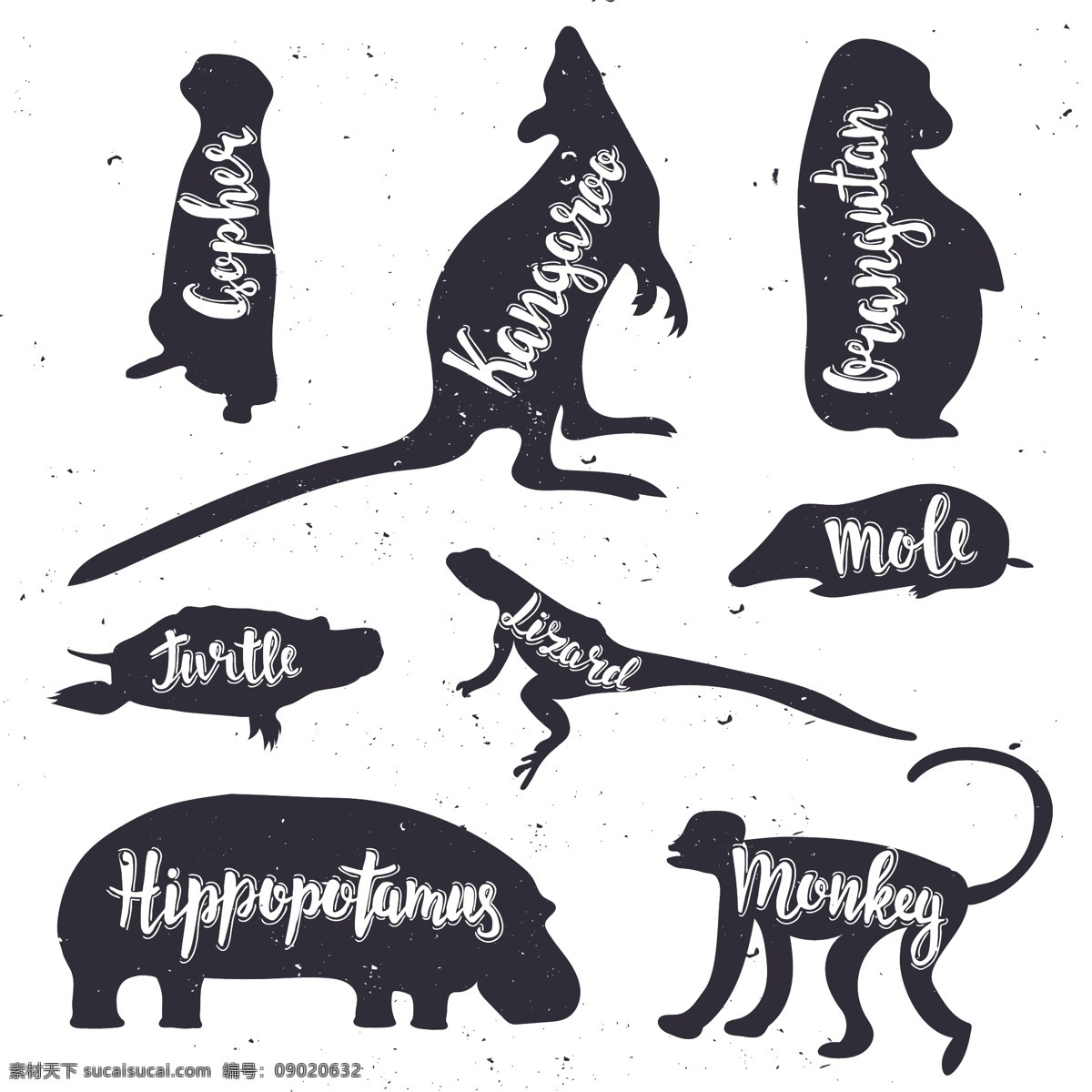 卡通 野生动物 剪影 插画 野生 动物 犀牛 猴子 可爱