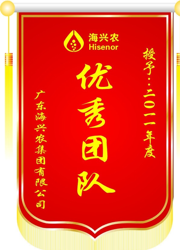 锦旗 学校流动红旗 企业旗 患者送医院旗 个人送单位旗 锻布制做 矢量