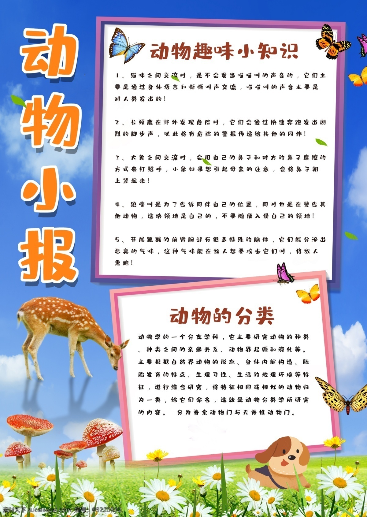 蓝色 卡通 小报 春天 春分小报 手抄报 定制小报 卡通小报 手抄报模板 气象小报 卡通边框 春分手抄报 春分节气 儿童小报 免费小报 空白小报 二十四节气 清新模板 春天卡通 蓝色卡通 卡通蓝色