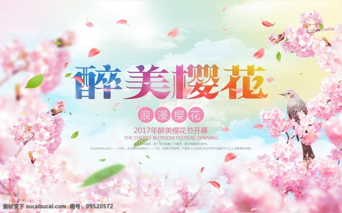 醉美樱花 樱花海报 樱花设计 樱花广告 最美樱花 粉色 人间四月天 粉色物语 粉红色素材 花朵 小伞 芳菲 绯红 古风 浪漫 旅游 共游 旅游节 风景 大自然 美丽 漂亮