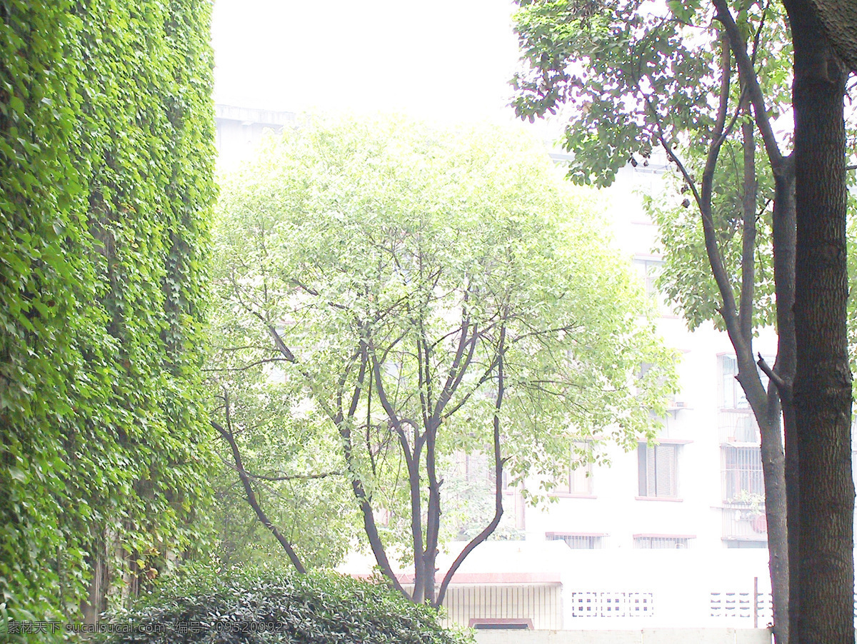 后现代 时尚 装修 餐椅 餐桌 个性 黑色 3d模型素材 室内装饰模型