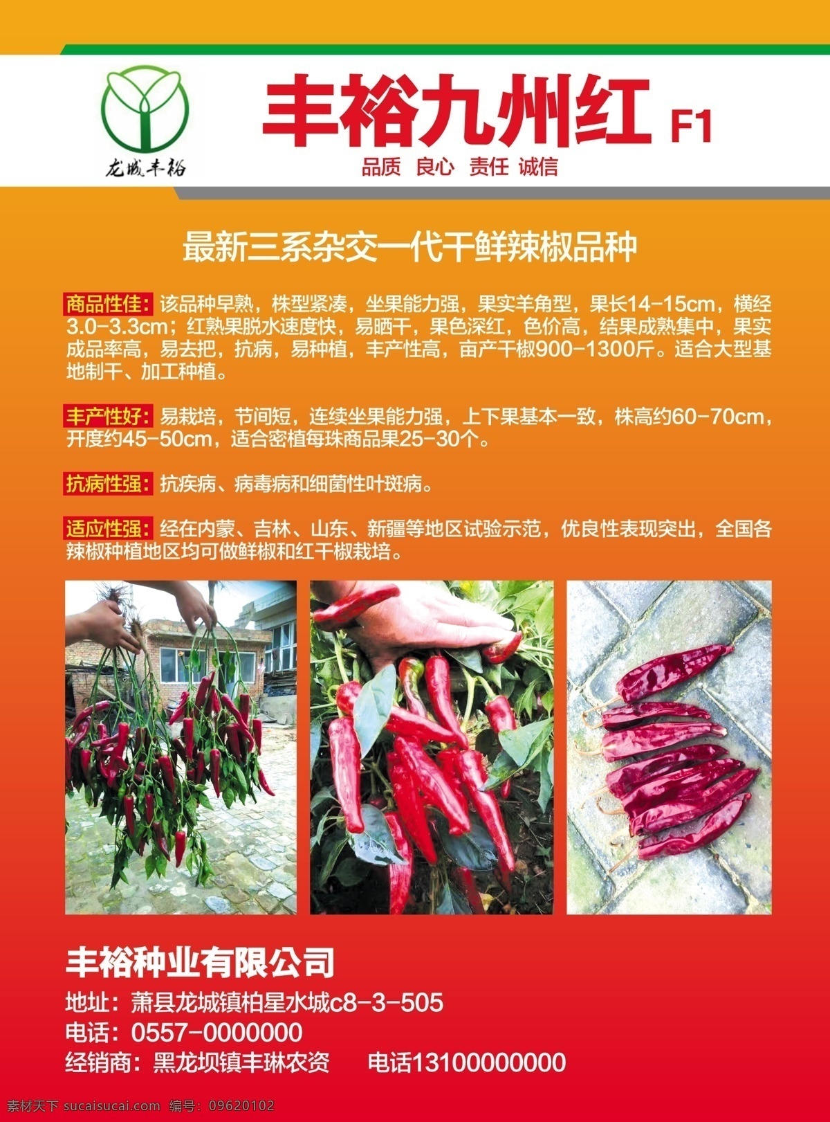 丰裕九州红 宣传单 红色彩页 辣椒宣传单 红色背景 分层