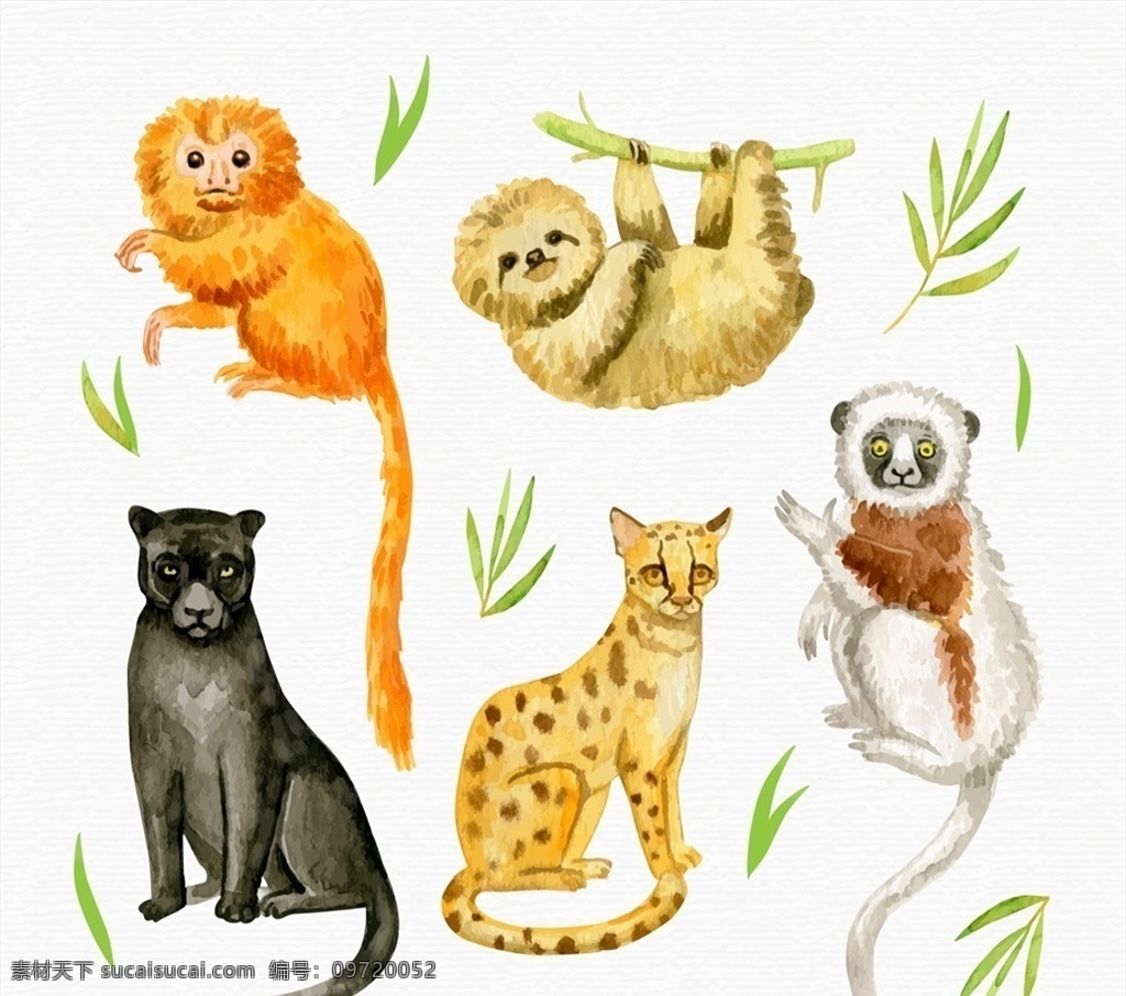 可爱 水彩 绘 动物图片 树叶 棕榈树叶 金丝猴 树懒 猎豹 矢量 高清图片