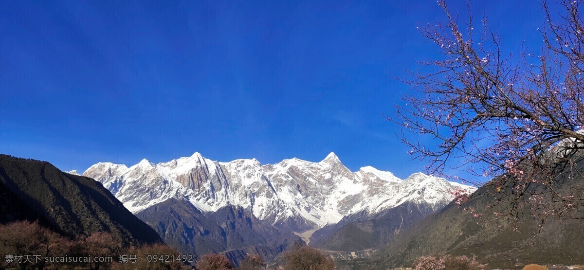 雪山桃花 西藏 风景区 山水 自然风光 蓝天 雪山 山峰 河流 春天 林芝风景 自然景观 山水风景 柳树 绿色 田园风光 桃林 远景 背景 红绿相间 旅游景点 南迦巴瓦 风景名胜