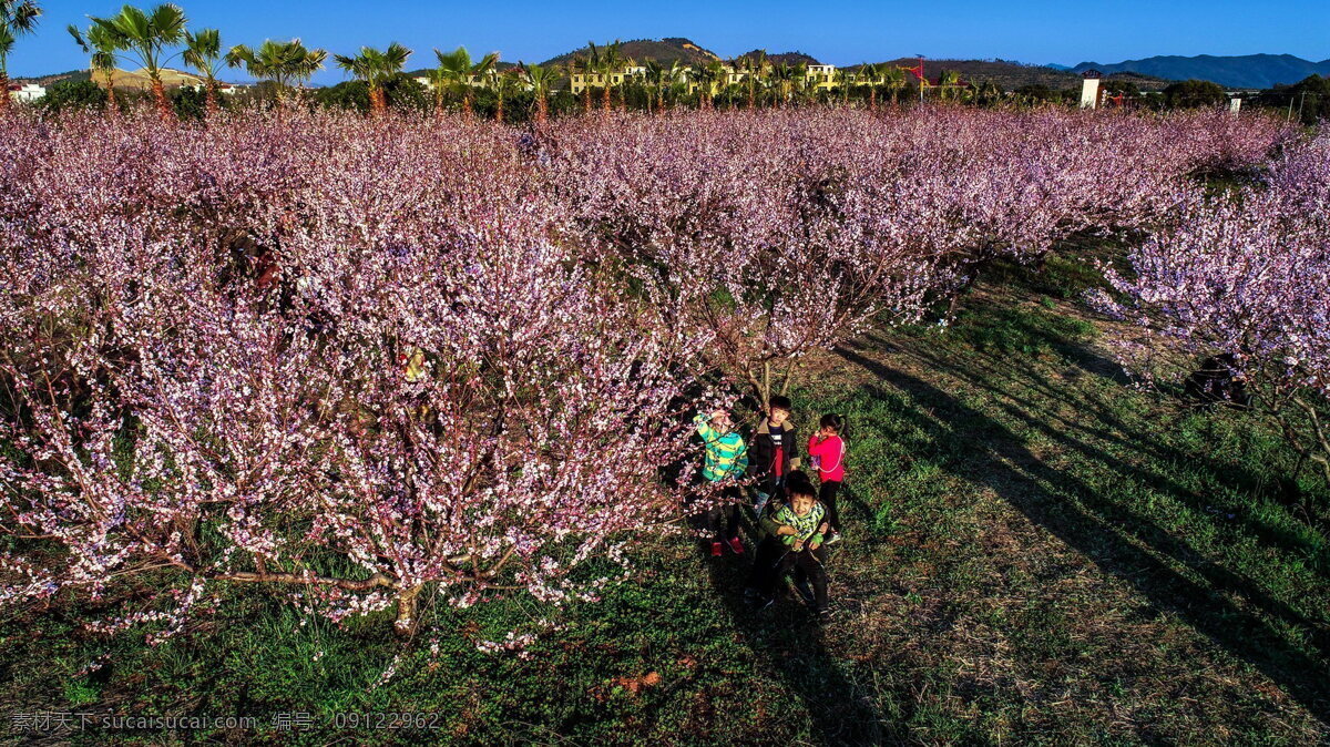 桃花旅游 桃花岛 湖泊 景区 国家级景区 自然保护区 高原风光 文化自然 风光秀丽 蓝天白云 摄影风光 旅游摄影 国内旅游 原始森林 风景名胜区 5a级景区 高山湖泊 天池 瀑布 美艳绝伦 蓝天 白云 远山 绿树 森林 桃花林 树林 桃花 绿叶 花园 花海 苗圃 桃花园林 园林 桃花公园 自然风景