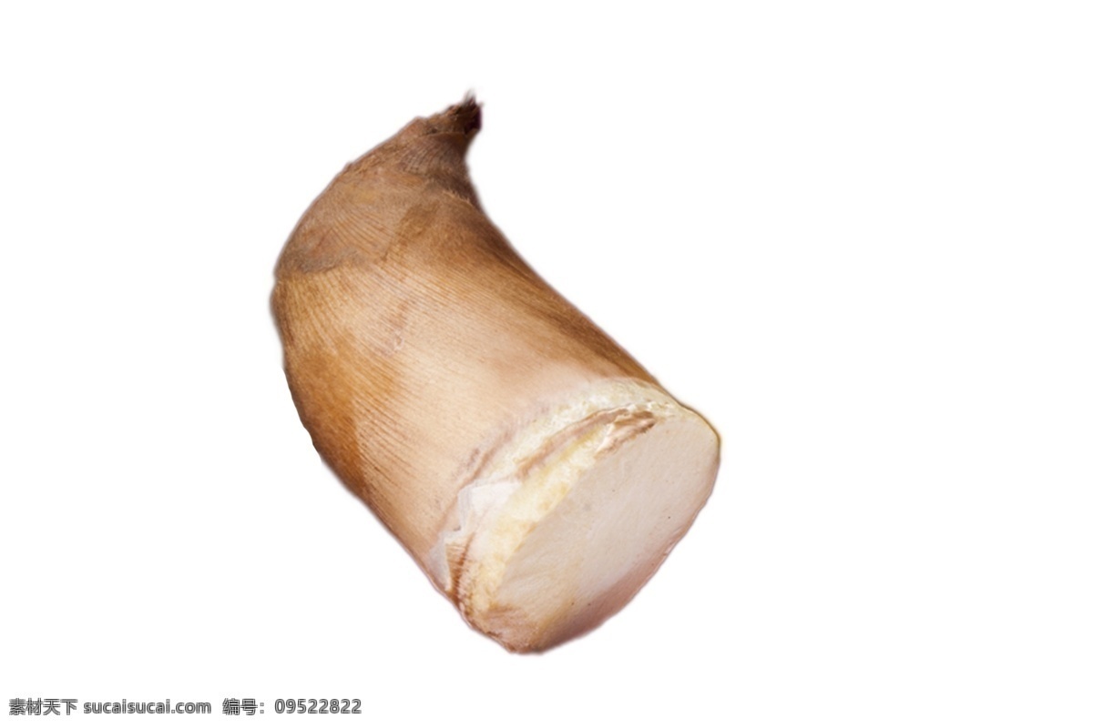 营养 丰富 大竹 笋 竹笋 蔬菜 美味 食物 农家 种植 绿色食品 安全 食用 食材 烹饪
