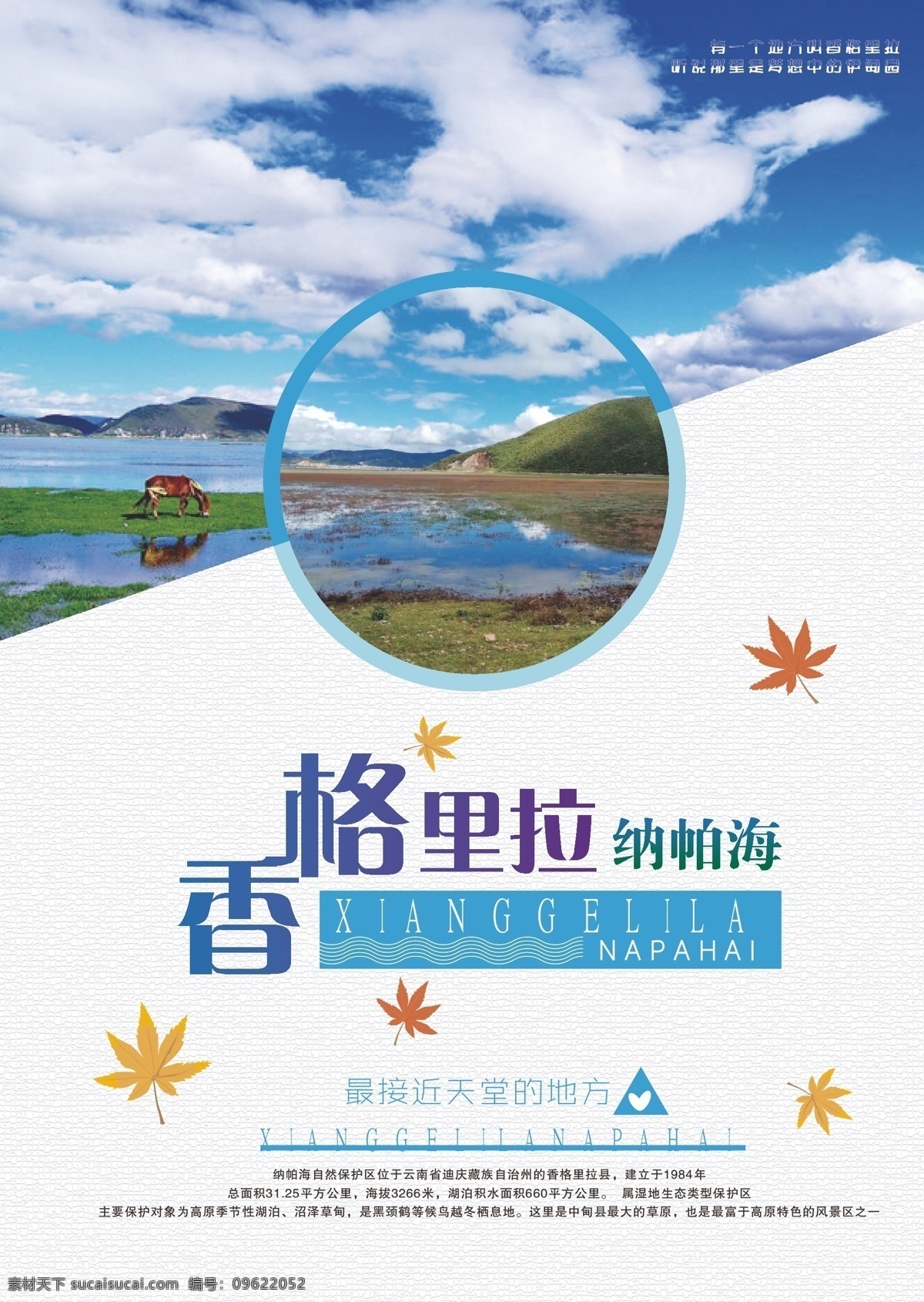 香格里拉 美丽 纳帕海 旅游 宣传 海报 云南