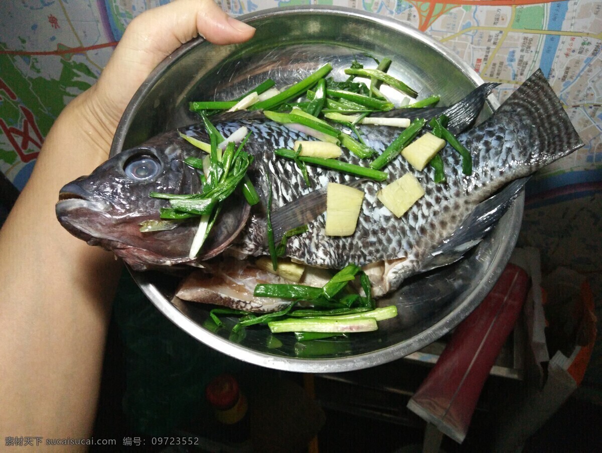 海鱼图片 海鱼 鱼 鱼干 鲜鱼 河鱼 鱼肉 清蒸鱼 水煮鱼 菜式 生活百科 生活素材