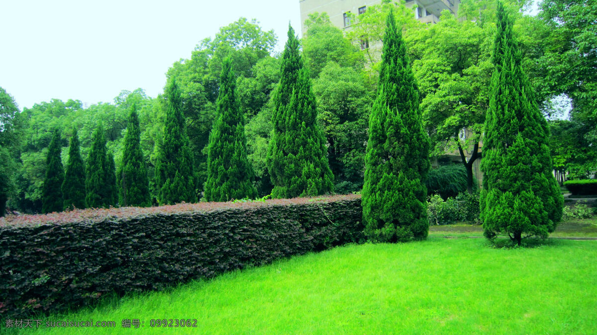 建筑 绿草 绿叶 树木 自然风景 自然景观 湘潭 科技 大学 风光图片 风光 湘潭科技大学 暗红色树叶 矢量图 现代科技