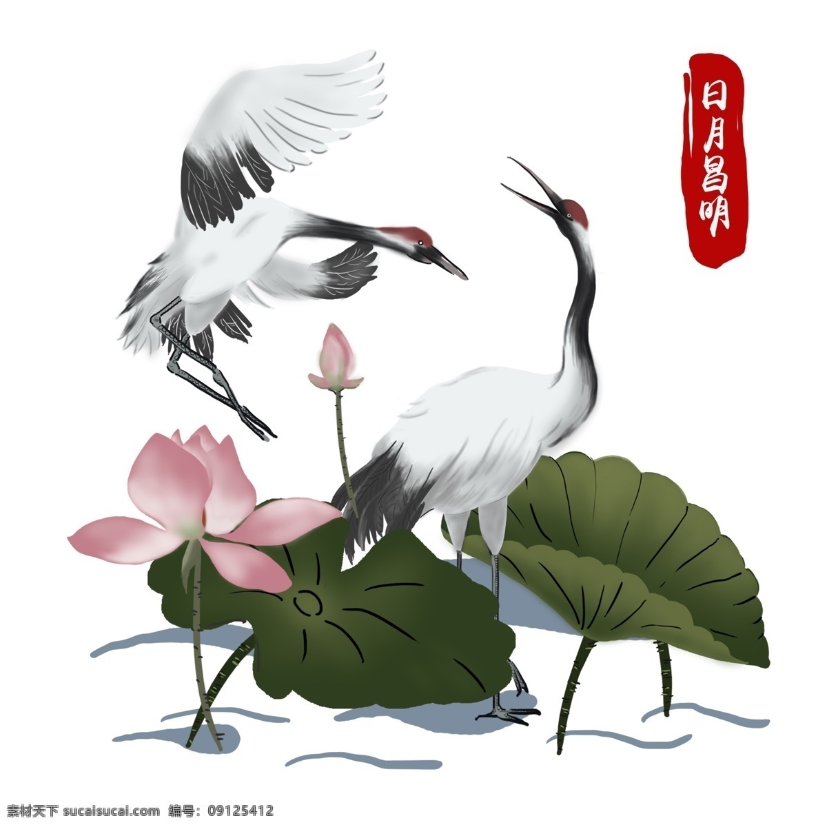手绘 简约 中国 风 戏水 仙鹤 商用 元素 中国风 荷花 荷叶 丹顶鹤 祝福 池塘