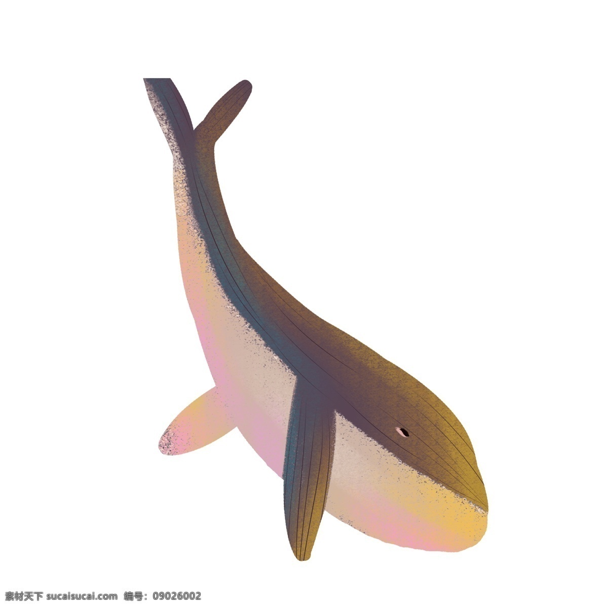 卡通 大 海豚 免 扣 图 大大的海豚 海洋生物 动物 大海豚 免扣图