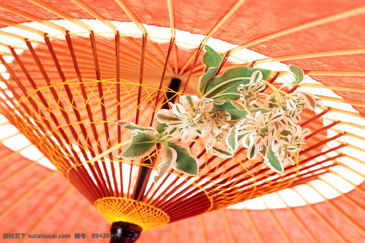 花 伞 局部 特写 设计图 生活百科 生活用品图片 花伞 局部特写 风景 生活 旅游餐饮