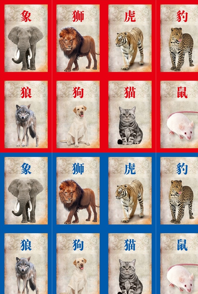 斗兽 动物 棋牌 象 狮 虎 豹 狼 狗 猫 鼠 名片卡片