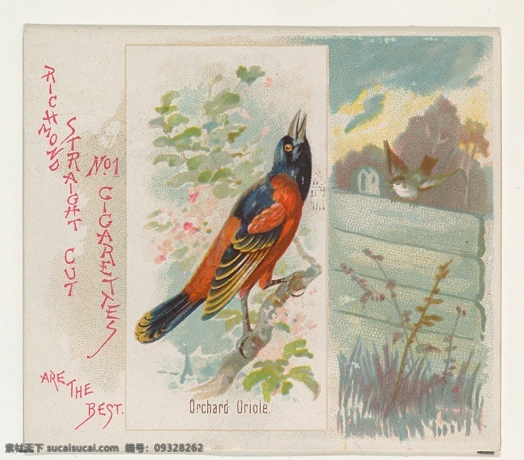 鸟 小鸟 飞鸟 花鸟 羽毛 山川河流 树木 花草 水彩画 油画 装饰画 无框画 艺术设计 文化艺术 绘画书法