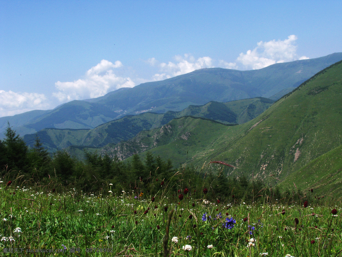 五台山图片 五台山旅游 五台山 五台山微信 山西旅游展板 山西旅游网 五台山素材 五台山宣传图 山西旅游海报 山西旅游 五台山海报 五台山海报图 五台山网站图 五台山宣传单 畅游五台山 五台山单页 五台山彩页 五台山展架 山西旅游指南 五台山行程 五台山传单 五台山广告 五台山风景 五台山美景 自然景观 自然风景