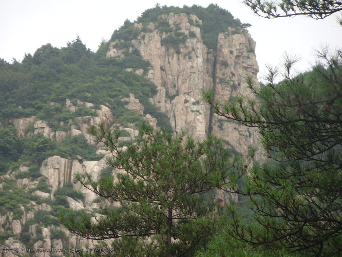 山峦风景 泰山 山峰 高山 树林 松树 风景名胜 自然景观