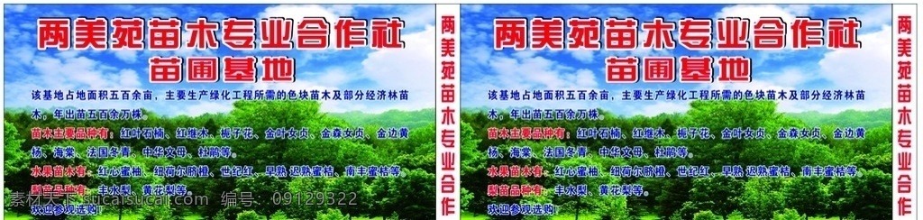 苗木基地 蓝天白云 苗圃 树木 苗木合作社 水果苗木 展板 展架 海报