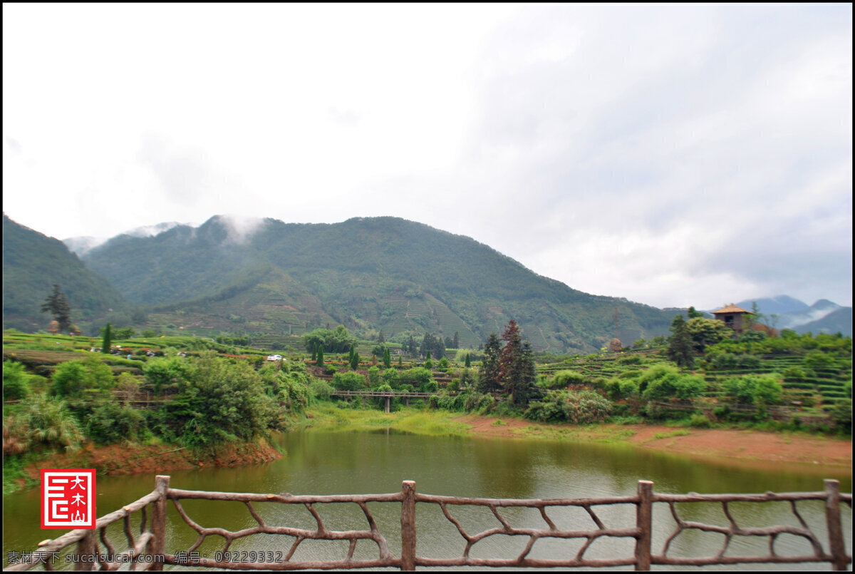 大木山茶园 丽水 松阳 大木山 茶园 旅游 丽水松阳 旅游摄影 自然风景